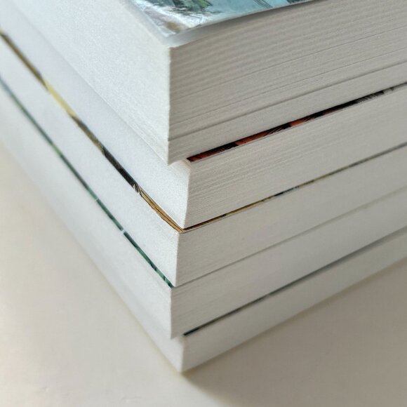 The Adventures Of The Borrowers by Mary Norton Box Set 5 Books Young Reader - Picture 14 of 16